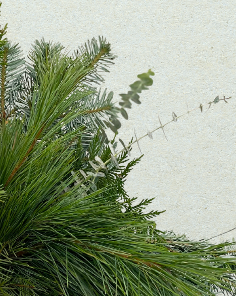 Winter Greens Bundle