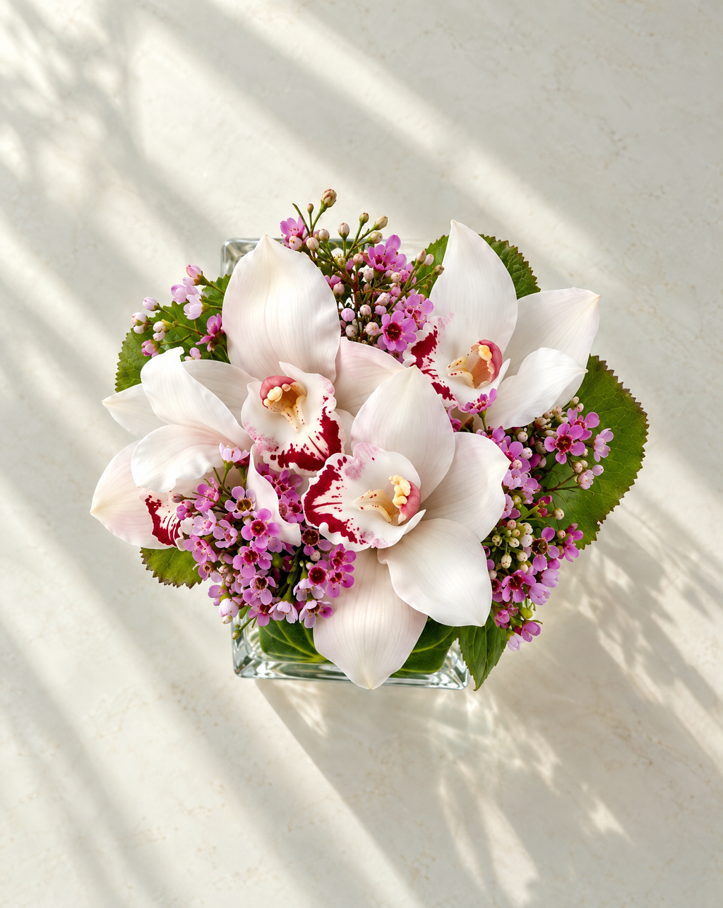 Orchid Posie