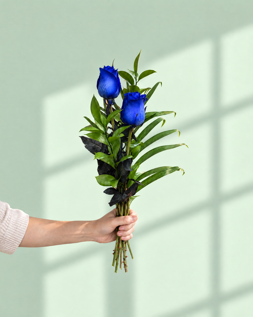 2 Blue Roses