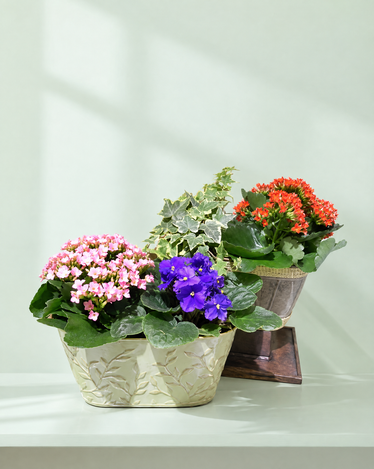 Double Planter
